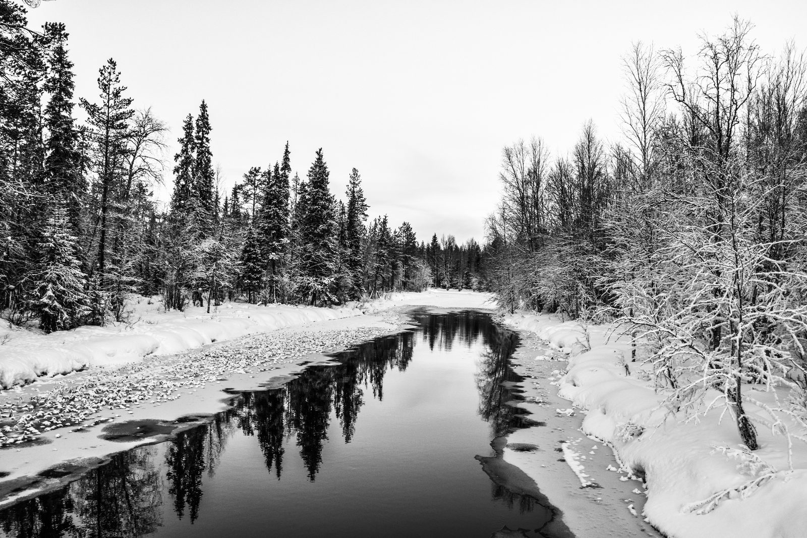 A river running between snow-covered pines, Finnish Lapland